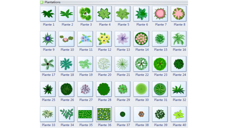 Edrawmax logiciel am&eacute;nagement ext&eacute;rieur plantes