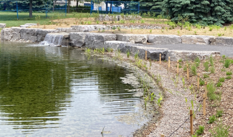 Projet de l’étang du parc Ahuntsic lors de la réception provisoire des travaux.