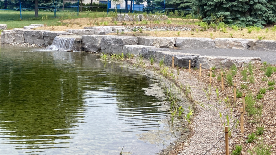Projet de l’étang du parc Ahuntsic lors de la réception provisoire des travaux.