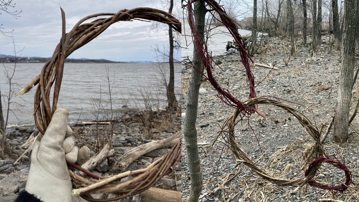 La « couleuvre » en maillon végétal.