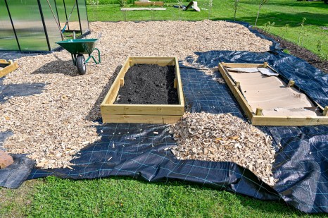 carton dans le jardin pour emp&ecirc;cher les mauvaises herbes