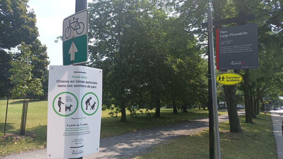 Un projet-pilote autorise les chiens dans les parcs léonardois.