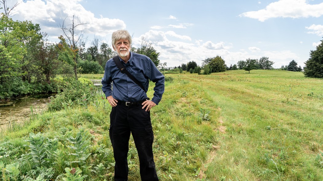 David Fletcher, de la Coalition verte, observe les dégats causé par la coupe dans plusieurs hectares du Champ des Monarques, situé dans le Technoparc À sa gauche, des plants font plus d'un pied de hauteur, alors qu'à sa droite, le terrain a été rasé.