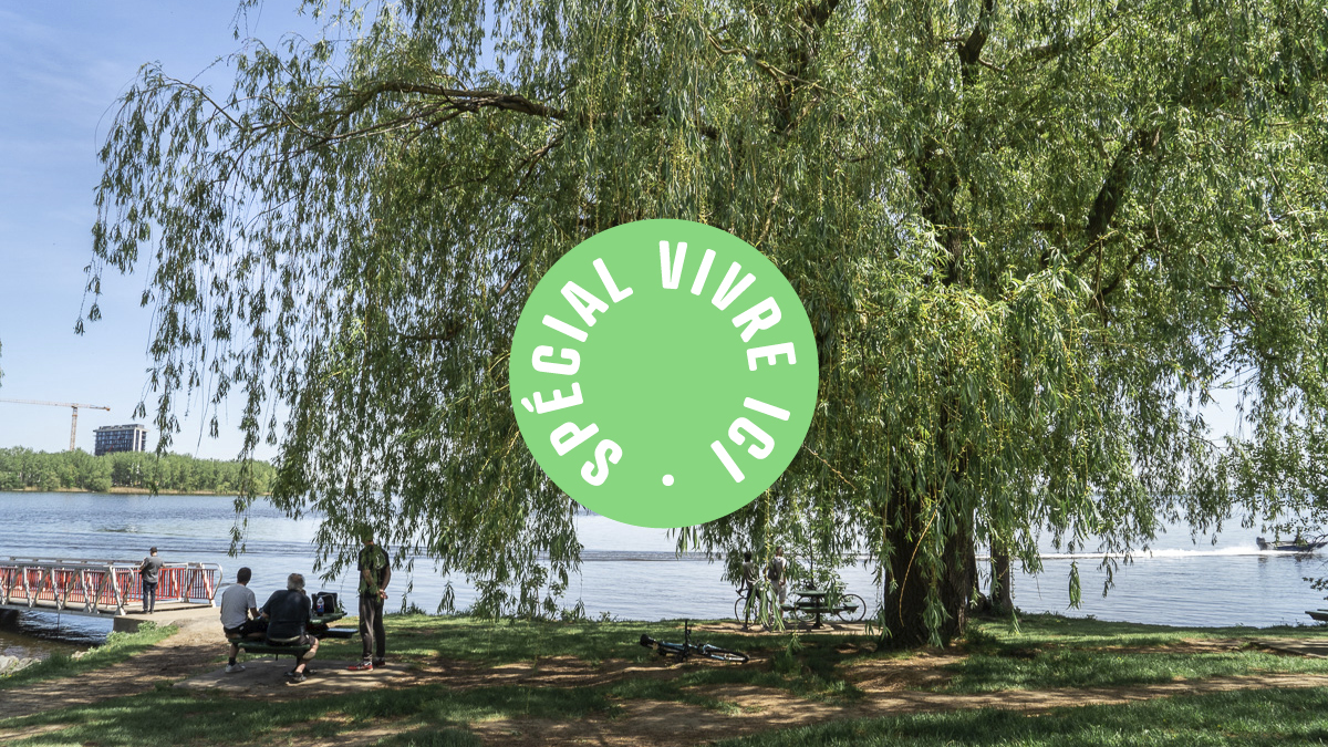 Les berges de Verdun