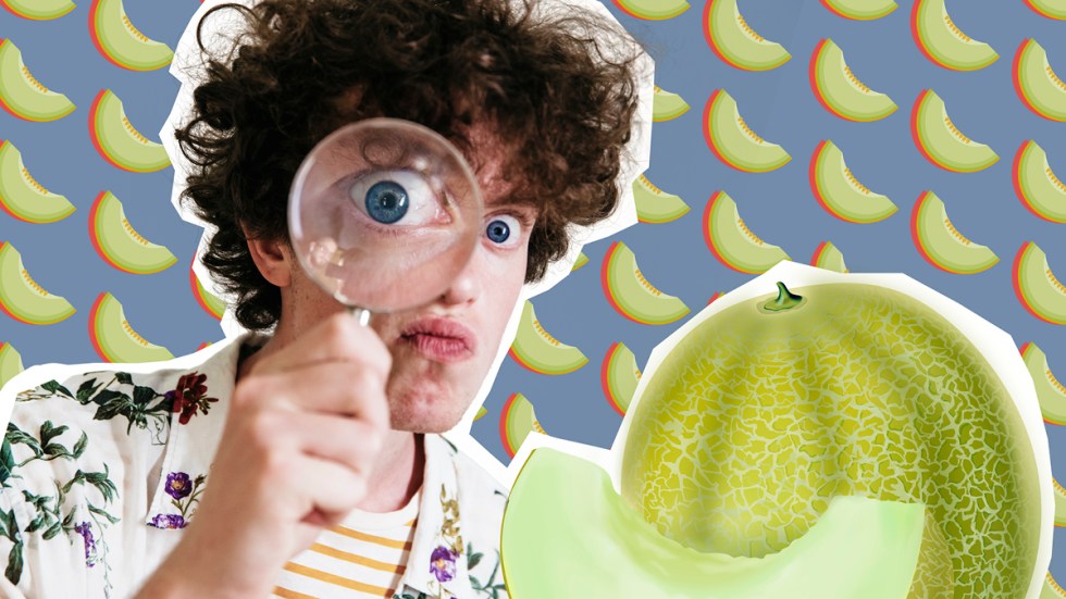 À la (re)découverte du melon de Montréal À table