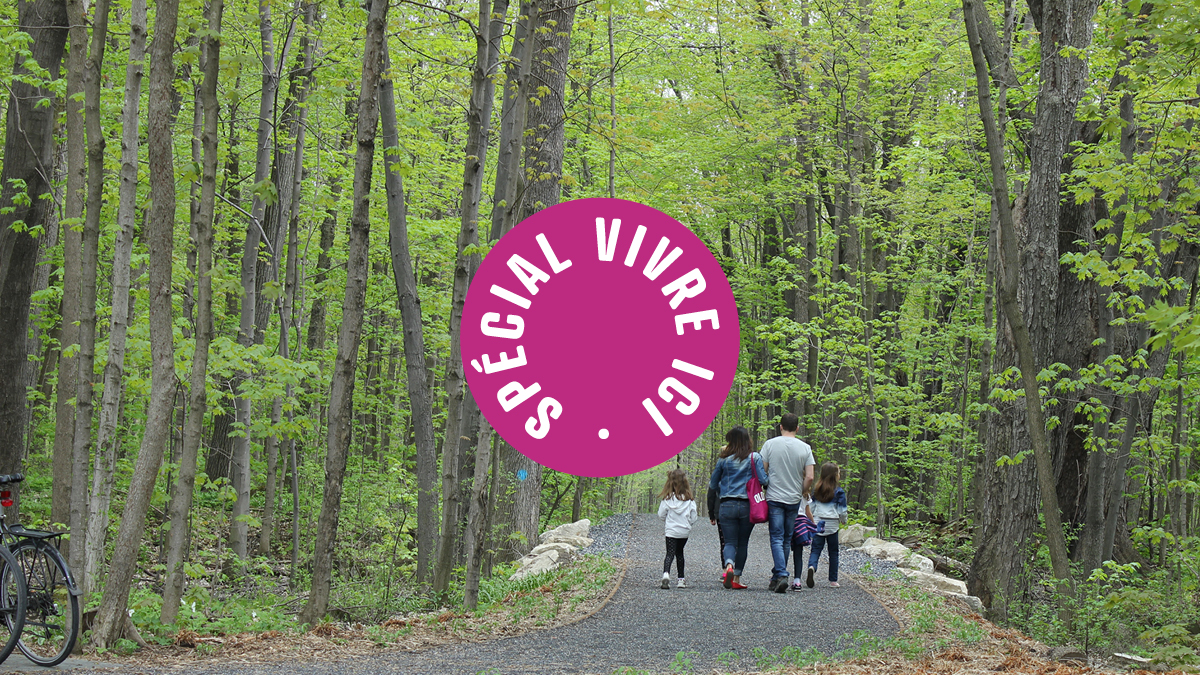 Parc-nature du Bois-de-Saraguay