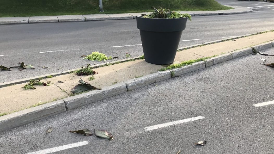 Des pots de fleurs de rue vandalisés dans l’arrondissement d’Anjou
