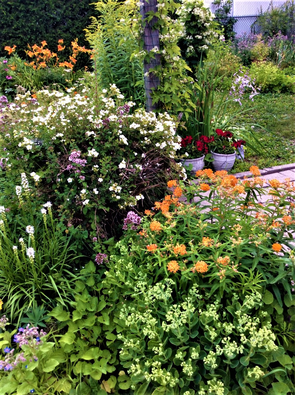 Le jardin d&rsquo;Elaine Bertrand, r&eacute;sidante de Saint-L&eacute;onard