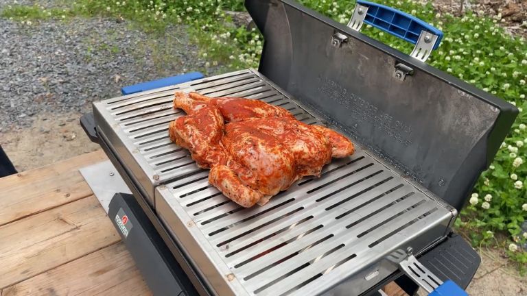 Le modèle plus grand permet de faire cuire un poulet entier sans que ça ne prenne toute la place. BBQ bois franc Woodflame aperçu modèle Delecto