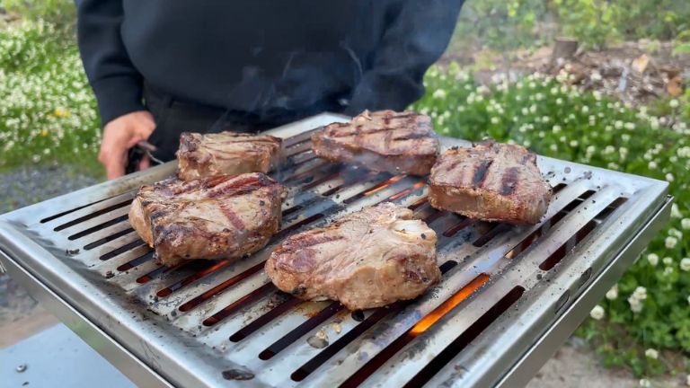Même étant plus petit, le modèle Gusto n’a rien à envier au Delecto grâce à son impressionnante puissance. BBQ bois franc Woodflame aperçu modèle Gusto
