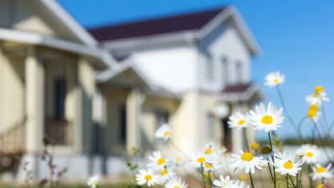 Concours maison fleuries Kirkland