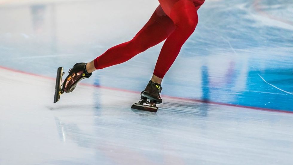 Patin de vitesse