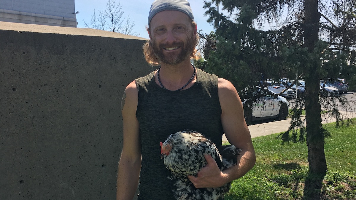 La poule M&eacute;m&eacute; et Martin Boisvert