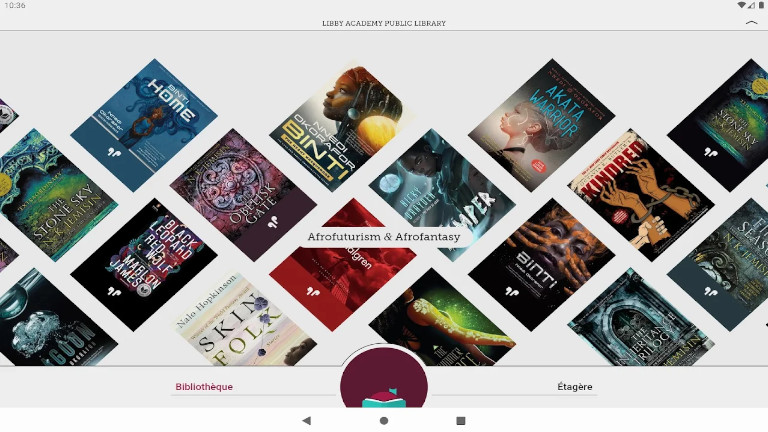 inventaire biblioth&egrave;que t&eacute;l&eacute;phone intelligent application libby