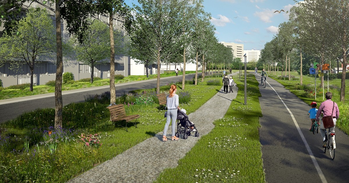 Grand prix du Design pour le développement BoisFranc