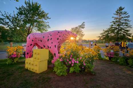 Parcours sc&eacute;nographique du FME