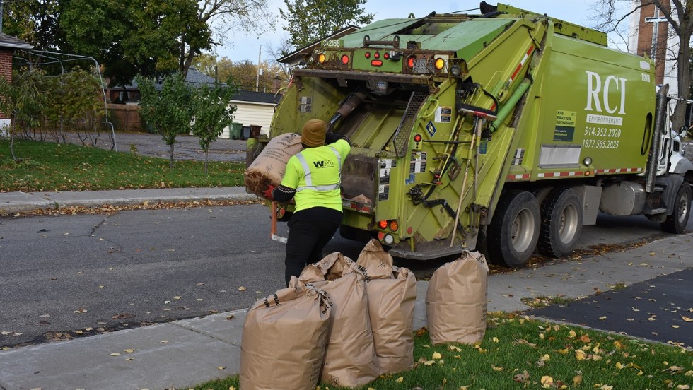 Collectes de feuilles.