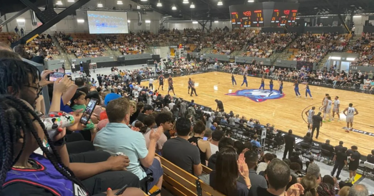 Basketball à Montréal une pratique rayonnante