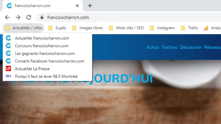 Toutes les pages d’un site peuvent être mises en favoris, pas seulement celle d’accueil. aperçu organisation favoris exemple francoischarron.com