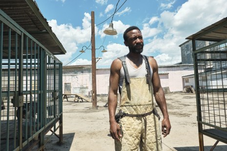 Dans Chien blanc, Le ma&icirc;tre-dresseur Keys (camp&eacute; par K.C. Collins) tentera de gu&eacute;rir un chien du racisme que l&rsquo;homme blanc lui a inculqu&eacute;.