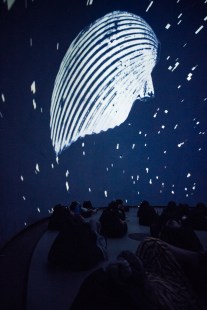 &laquo;&nbsp;&Eacute;cosyst&egrave;me&nbsp;&raquo; &agrave; la SAT