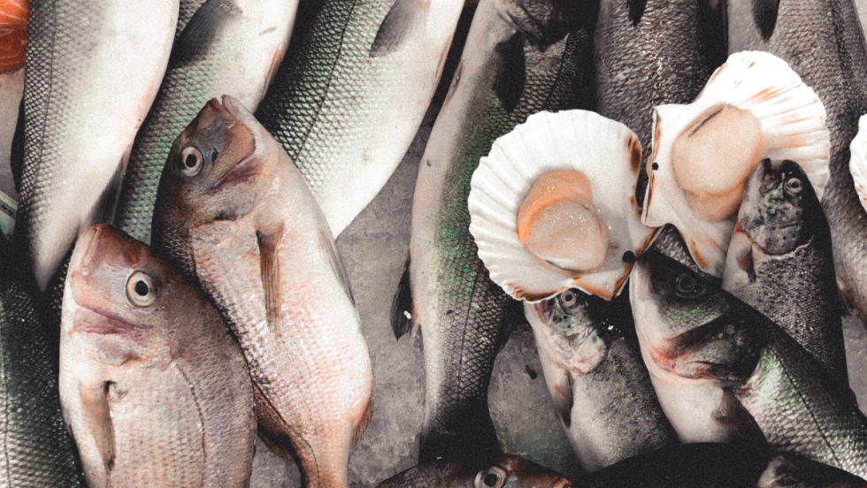 poissons fruits de mer