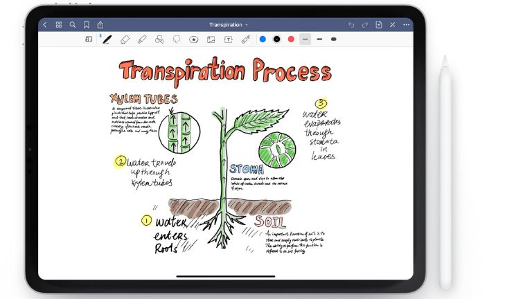 GoodNotes 5 meilleure app iPad 2022