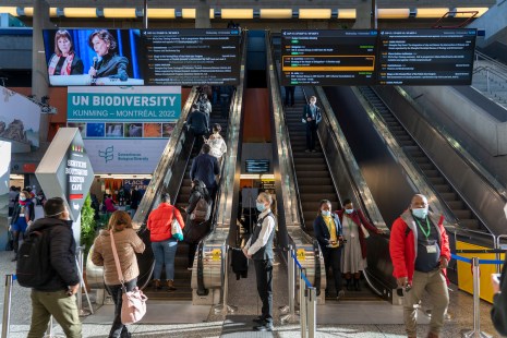 La COP15 au Palais des congrès de Montréal.
