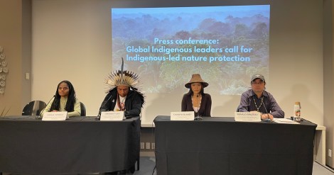 (De gauche à droite) Orpha Yoshua, une femme autochtone Namblong de Papouasie occidentale en Indonésie, Dinamam Tuxá, Coordinateur exécutif de l'Articulation des peuples indigènes du Brésil, Ta'Kaiya de la nation Tla'Amin en Colombie-Britannique et Ronald Brazeau, directeur par intérim des ressources naturelles du Lac Simon.