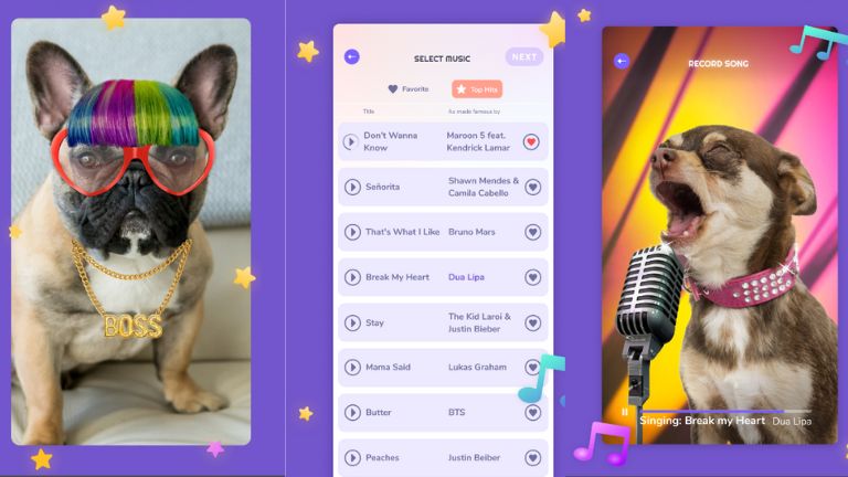 Un aperçu de l'application mobile PetStar: My Dog & Cat Sings disponible sur Android et iOS. apercu application mobile PetStar: My Dog & Cat Sings Android iOS.