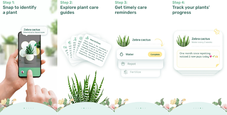 aper&ccedil;u application mobile Blossom trucs conseils