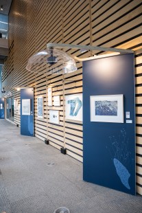 L’exposition « Vues sur le fleuve » à la Grande Bibliothèque