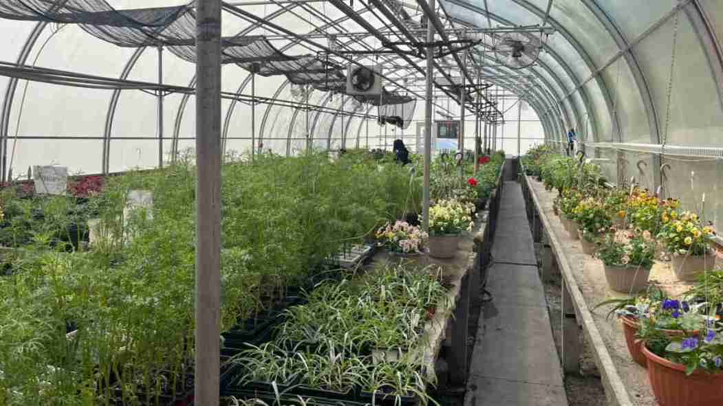 Hortithérapie à l’Institut Douglas: guérir en jardinant