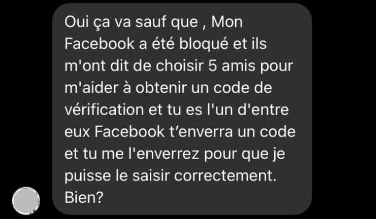 aper&ccedil;cu du  message frauduleux