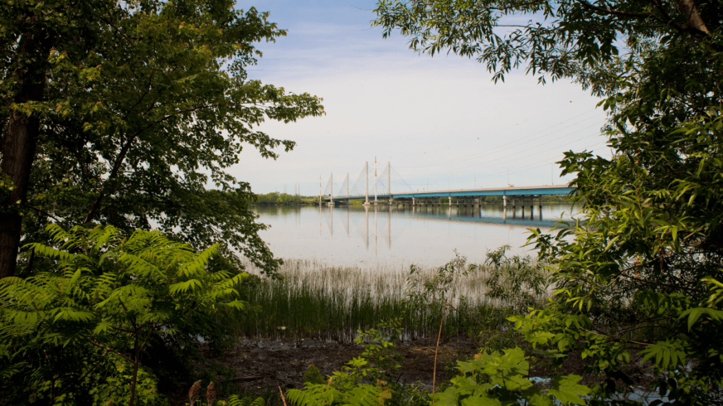 Les berges de la Rivière-des-Prairies vues de Montréal-Nord. En arrière-plan, le pont Olivier-Charbonneau.
