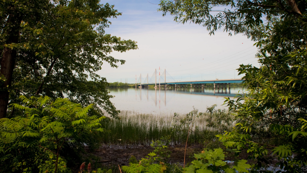 Les berges de la Rivière-des-Prairies vues de Montréal-Nord. En arrière-plan, le pont Olivier-Charbonneau.