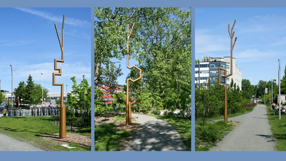 Montage de trois photos de l'oeuvre d'art "Les embranchements fructueux", au parc des Gorilles.